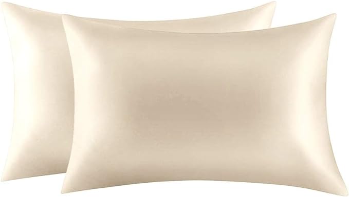 Jocoku 100% Mulberry Silk Pillowcases Set of 2 by JOCOKU