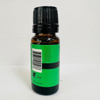 Eternal Essence Oils 2 Pack 10ml Premium Fragrance Oil - Image 5