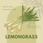 GreenHealth - Lemongrass Essential Oil - 16 fl oz - Aluminum Bottle - 100% - Image 4