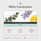 AromaPlan Hotel Scents Minty Eucalyptus 16 Fl Oz, Home Luxury Aroma & Hotel - Image 2