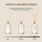 COCODOR Herbarium Reed Diffuser/Pure Cotton/6.7oz/ Fragrance Scent Essential - Image 4