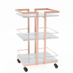 Esthetician Cart with Wheels Utility Salon Rolling Trolley, Mobile Storage by OmySalon
