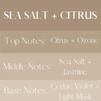 River Birch Sea Salt + Citrus Scented Linen and Room Spray | Home Fragrance | 4 - Image 3