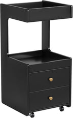 Salon Trolley Cart, Esthetician Cart - Image 2