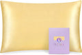 OLESILK 100% Mulberry Silk Toddler Pillowcase by OLESILK