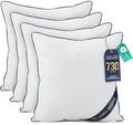 Utopia Bedding Throw Pillow Inserts, 22 x 22 Inches Decorative Indoor Pillows by UTOPIABEDDING