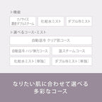Panasonic Steamer Nano Care W-Warm/Cold Esthetic Type - Image 8