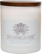 Carolina Enchanting Lavender Scented Candle, 16 oz Wellness Relaxing by CAROLINA