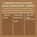 Almond Sugar Cookie Odor Eliminating Highly Fragranced Candle - Image 4