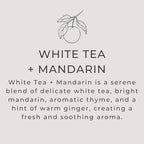 River Birch White Tea + Mandarin Scented Linen and Room Spray | Home Fragrance - Image 3