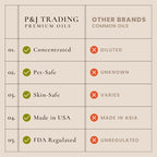 P&J Fragrance Oil Holiday Set for Christmas Home Decor | Mistletoe, Candy Cane - Image 2