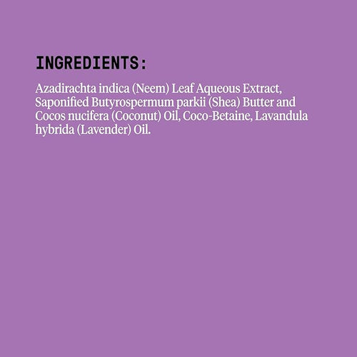 Alaffia - EveryDay Shea Body Wash, Naturally Helps Moisturize and Cleanse - Image 2