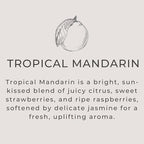 River Birch Tropical Mandarin Scented Linen and Room Spray | Home Fragrance | 4 - Image 3
