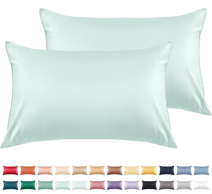 Warmstar Cotton Pillow Cases Queen Size Set of 2, 600 Thread Count Pillowcases by Warmstar