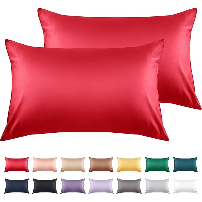 Warmstar Cotton Pillow Cases King Size Set of 2, 600 Thread Count Pillowcases by Warmstar