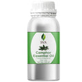 SVA Camphor Essential Oil – 16 Fl Oz – 100% Natural Camphor Oil by SVAORGANICS