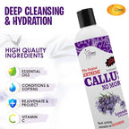 SPA REDI Callus Remover - Image 5