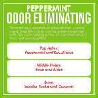 Peppermint Two Pack Odor Eliminating Highly Fragranced Candle - Image 4