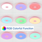 Pink Waterproof LED Ceiling Light Fixture, Music Ceiling Lamp, - Image 4