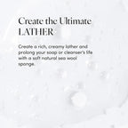 LATHER - Natural Sea Wool Sponge, 5-6" - Organic Exfoliating Body Scrubber - - Image 4