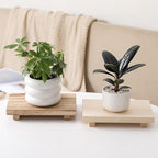 zoocatia Small Wood Tray Pedestal Stand Farmhouse Bathroom Decor Decorative - Image 5