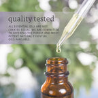 Now Essential Oils, Uplifting Aromatherapy Scent, Cold Pressed, 100% Pure - Image 8