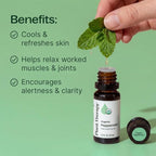 Plant Therapy Organic Peppermint Essential Oil 30 mL 100% Pure, USDA Certified - Image 2