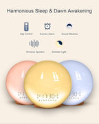 Smart Sunrise Alarm Clock with No Signup APP Control & Wake-Up Light, 4 Alarms - Image 3