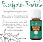 Eucalyptus Radiata Essential Oil 15ml by Young Living Essential Oils - Image 6