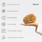 Naroa Soft Natural Shower Sponge | Gentle Sea Loofah - Image 4