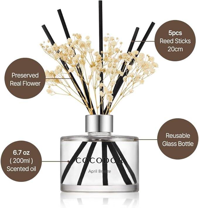 COCODOR Preserved Flower Reed Diffuser Set / 6.7oz / Seoul Rose/Scent Diffuser - Image 3