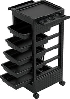 Salon Trolley Cart with Wheels & 5 Drawers, Salon Rolling Stations by Roixeeds
