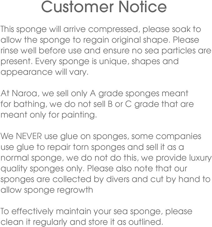 Naroa Soft Natural Sponge X Large | Gentle Sea Loofah - Image 7