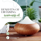 2 Bottles - 16 fl oz Rosemary Essential Oil, Aluminum Bottle - GreenHealth - Image 6