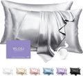 100% Silk Pillow Cases 2 Pack Queen Size Mulberry Silk Pillowcase Set of 2 by WLOSJ