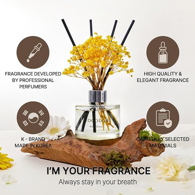 COCODOR Preserved Flower Reed Diffuser/Cedar Wood/6.7oz/1Pack / Home Fragrance - Image 2