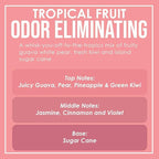 Tropical Fruit Two Pack Odor Eliminating Highly Fragranced Candle - Image 4