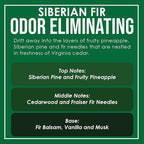 Siberian Fir Two Pack Odor Eliminating Highly Fragranced Candle - Image 4