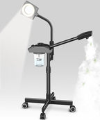 TASALON Professional Ionic Facial Steamer, 2-in-1 Face Steamer by TASALON