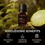 100% Pure Lime Essential Oil - Image 5