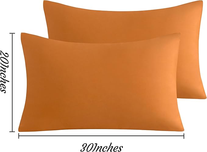 NTBAY Queen Pillow Cases Set, 2 Pack Brushed Microfiber 20x30 Inches, Stain - Image 4