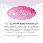 Ola Prima Rosemary Essential Oil - Image 7