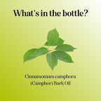 Pure Undiluted Camphor Essential Oil - Image 6
