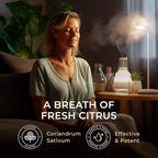 100% Pure Cilantro Essential Oil - Image 3