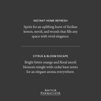 Antica Farmacista Room Spray - Image 5
