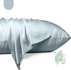 100% Mulberry Silk Pillowcase 2 Pack, Queen Size Silk Pillow Cases by Unknown