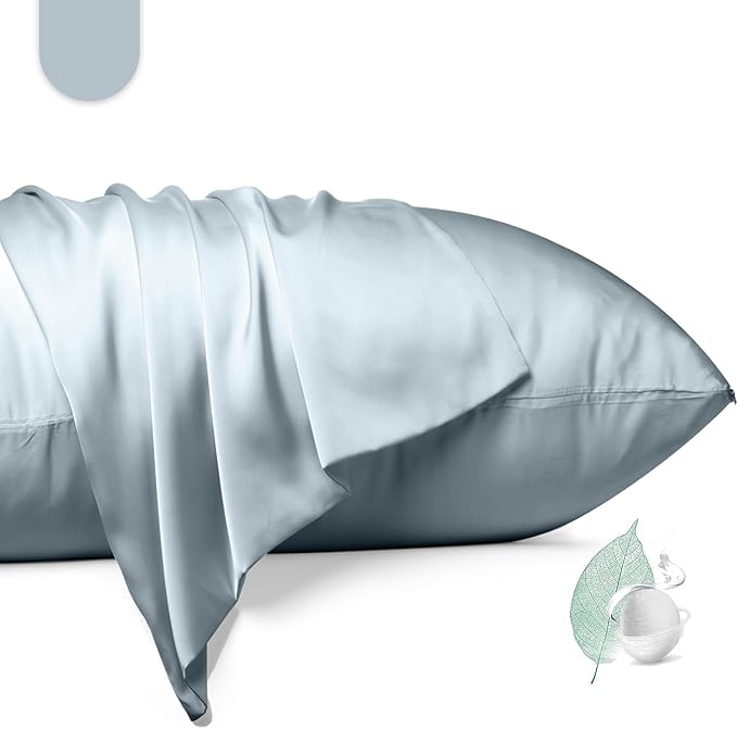 100% Mulberry Silk Pillowcase 2 Pack, Standard Size Silk Pillow Cases by Unknown