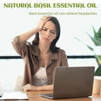 EVOKE OCCU Basil Essential Oil for Skin Massage Diffuser and Candle Making- 4 - Image 2
