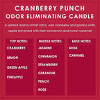 Cranberry Punch Odor Eliminating Highly Fragranced Candle - Image 4