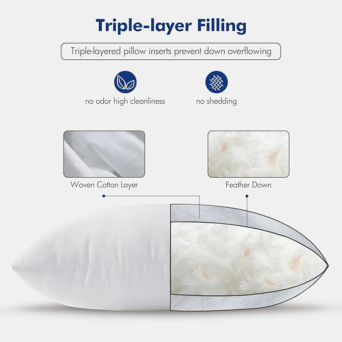 MIULEE 24x24 Euro Pillow Inserts, Decorative Fluffy Throw Pillow Inserts Cotton - Image 6